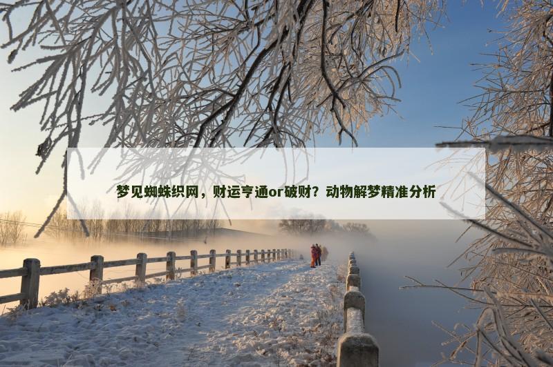 梦见蜘蛛织网,财运亨通or破财?动物解梦精准分析