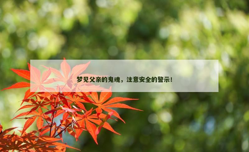 梦见父亲的鬼魂,注意安全的警示!