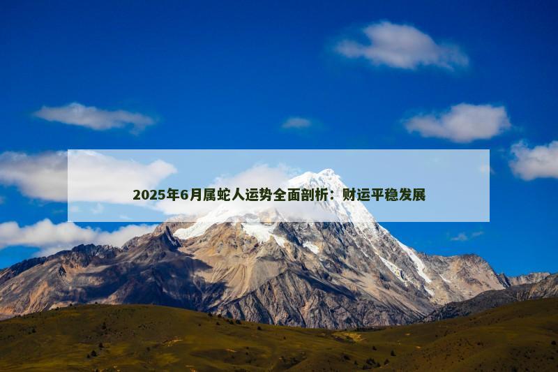 2025年6月属蛇人运势全面剖析:财运平稳发展