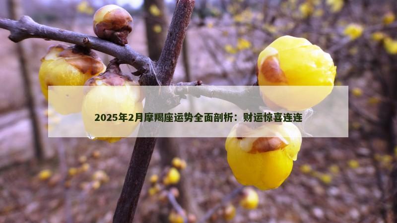 2025年2月摩羯座运势全面剖析:财运惊喜连连