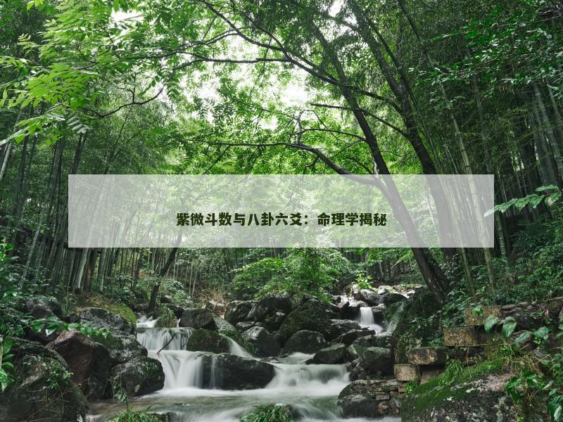紫微斗数与八卦六爻:命理学揭秘