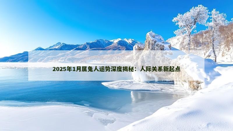 2025年1月属兔人运势深度揭秘:人际关系新起点