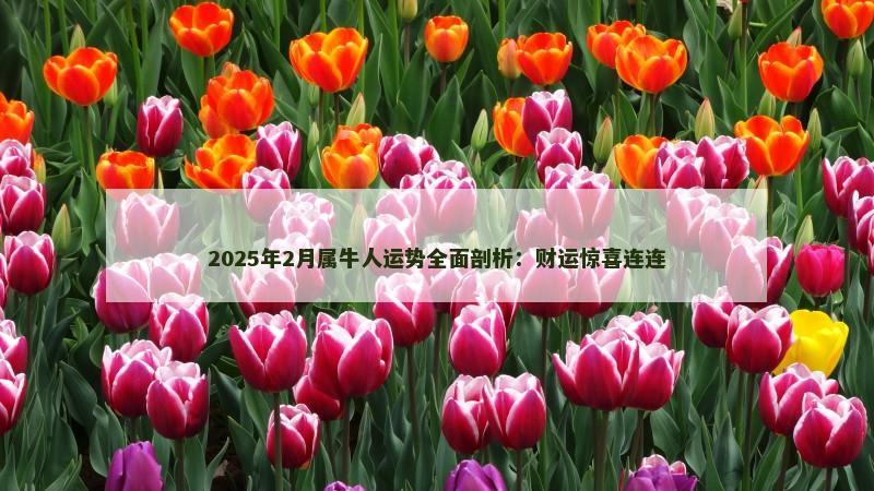 2025年2月属牛人运势全面剖析:财运惊喜连连