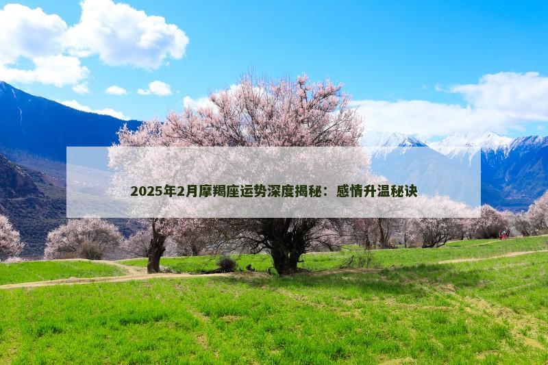 2025年2月摩羯座运势深度揭秘:感情升温秘诀