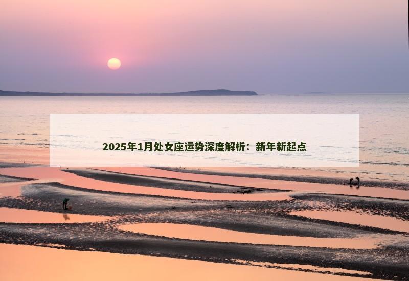 2025年1月处女座运势深度解析:新年新起点