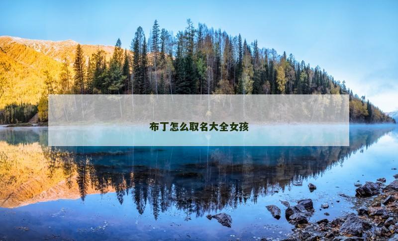 布丁怎么取名大全女孩