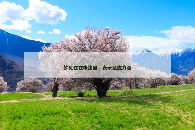 梦见住在帐篷里,表示适应力强