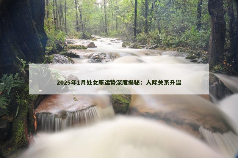 2025年1月处女座运势深度揭秘:人际关系升温