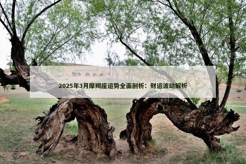 2025年3月摩羯座运势全面剖析:财运波动解析