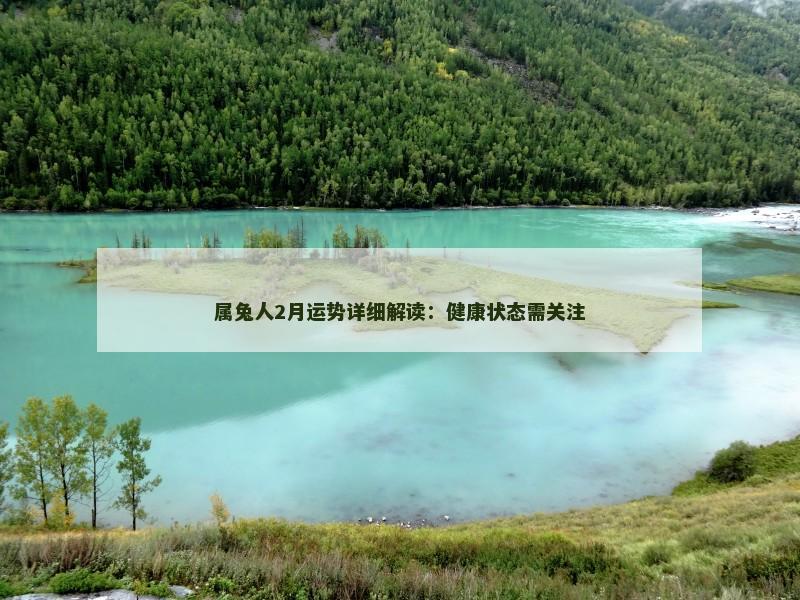 属兔人2月运势详细解读:健康状态需关注