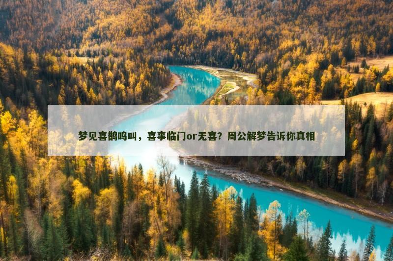 梦见喜鹊鸣叫,喜事临门or无喜?周公解梦告诉你真相
