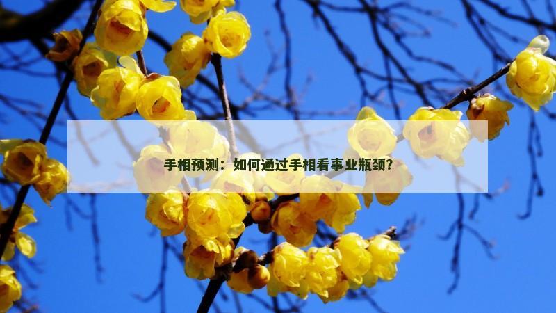 手相预测:如何通过手相看事业瓶颈?
