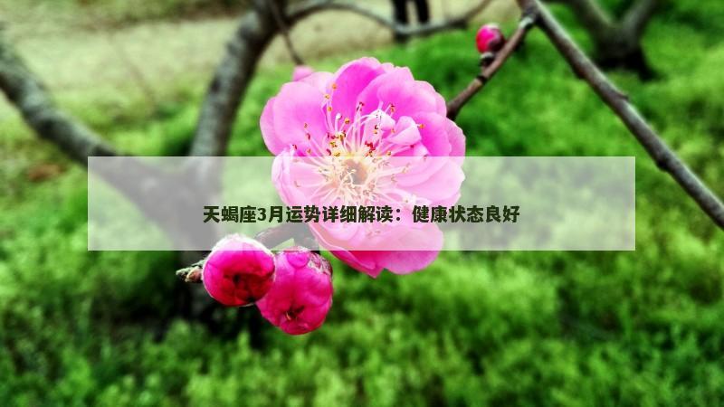 天蝎座3月运势详细解读:健康状态良好