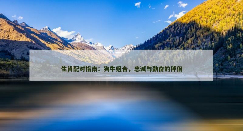 生肖配对指南：狗牛组合，忠诚与勤奋的伴侣
