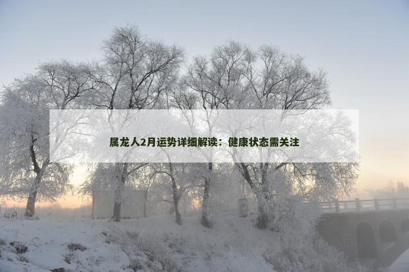 属龙人2月运势详细解读:健康状态需关注