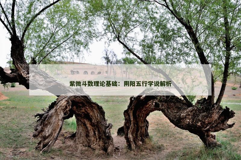 紫微斗数理论基础：阴阳五行学说解析