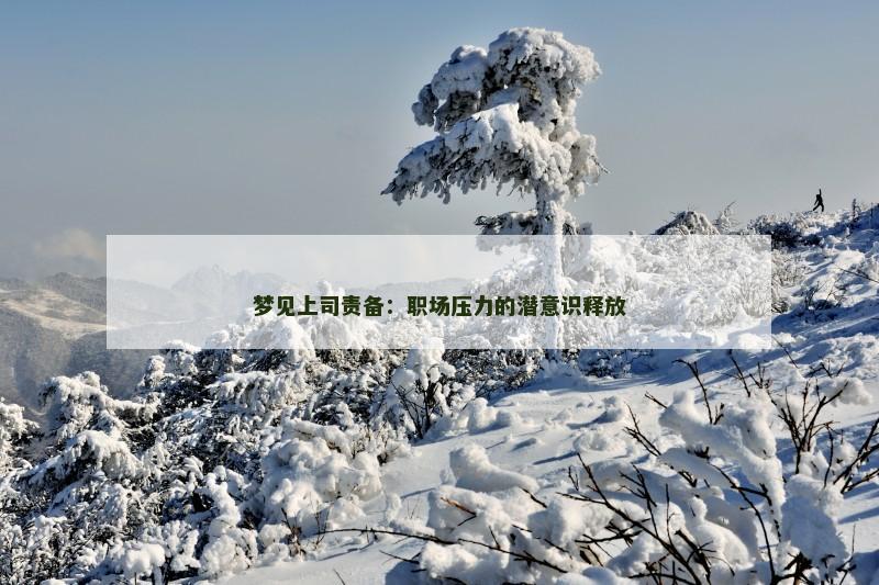 梦见上司责备:职场压力的潜意识释放