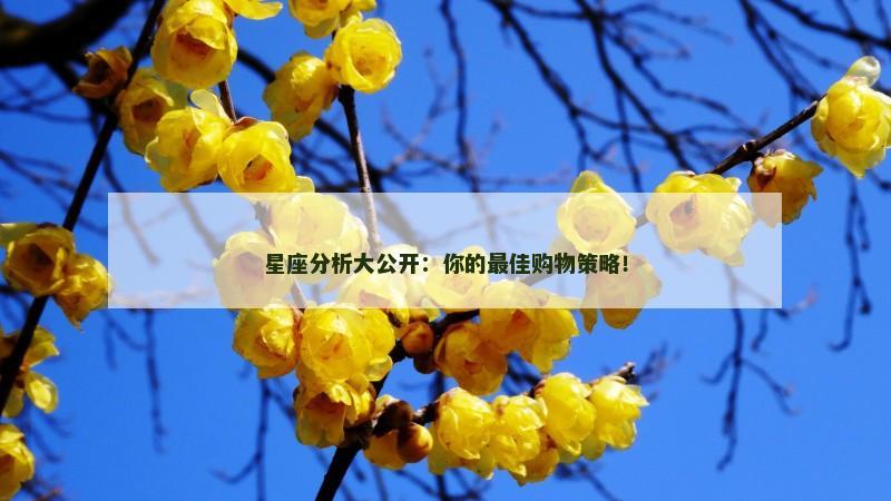 星座分析大公开:你的最佳购物策略!