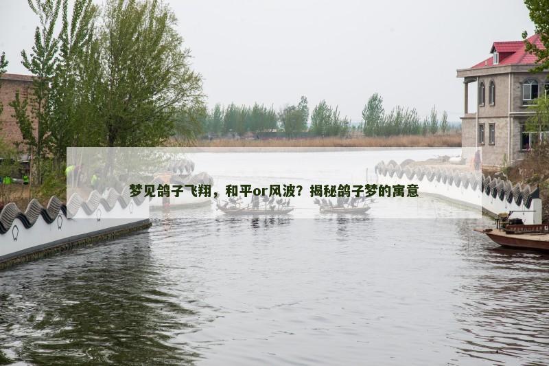 梦见鸽子飞翔,和平or风波?揭秘鸽子梦的寓意