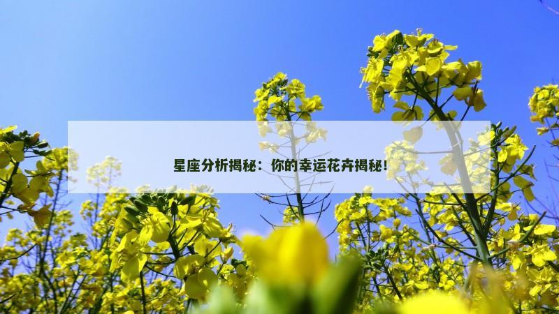 星座分析揭秘：你的幸运花卉揭秘！