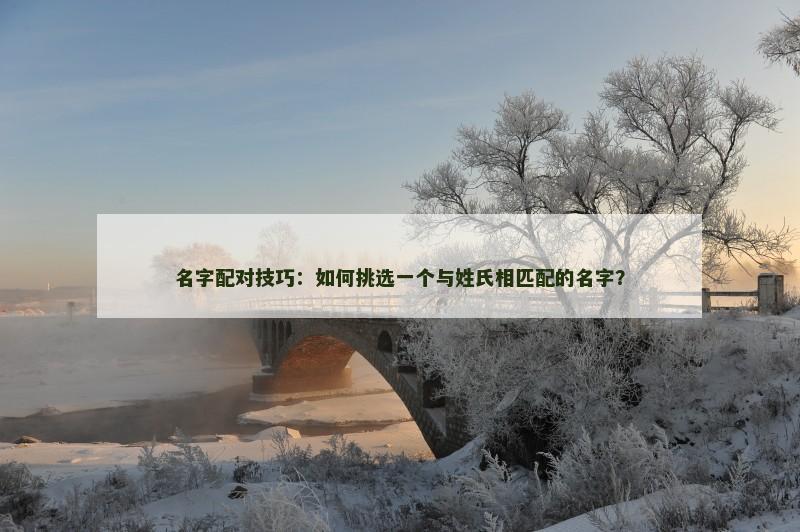 名字配对技巧：如何挑选一个与姓氏相匹配的名字？