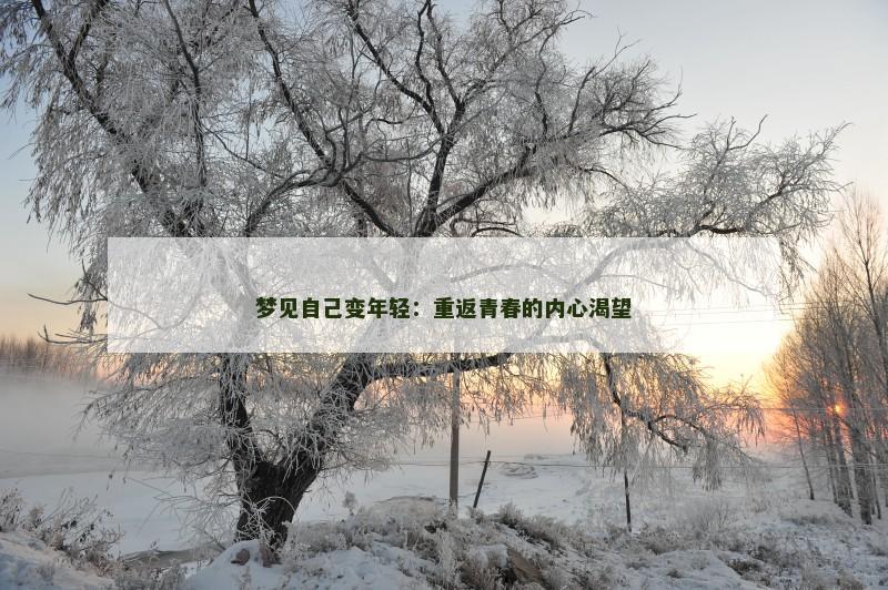 梦见自己变年轻:重返青春的内心渴望