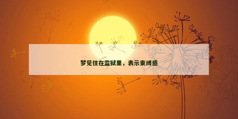 梦见住在监狱里,表示束缚感