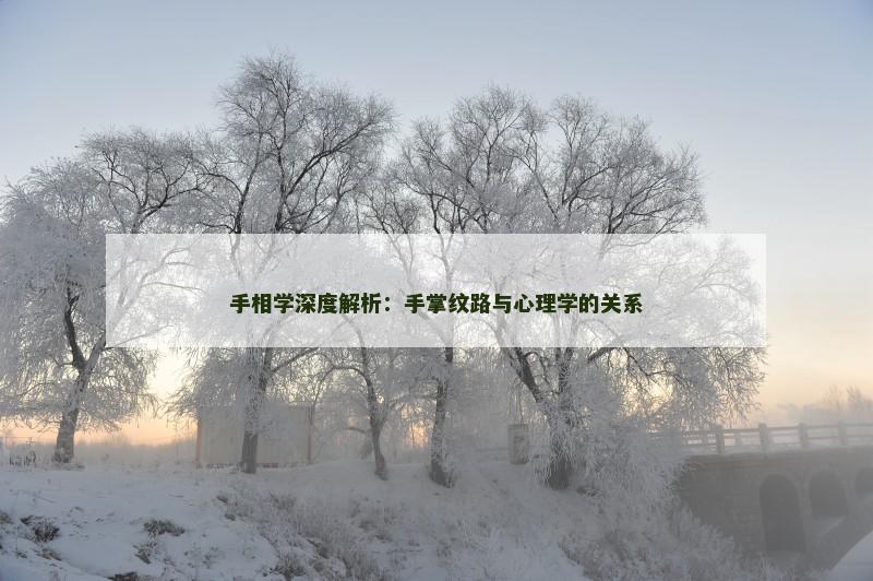 手相学深度解析:手掌纹路与心理学的关系