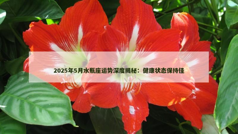 2025年5月水瓶座运势深度揭秘:健康状态保持佳