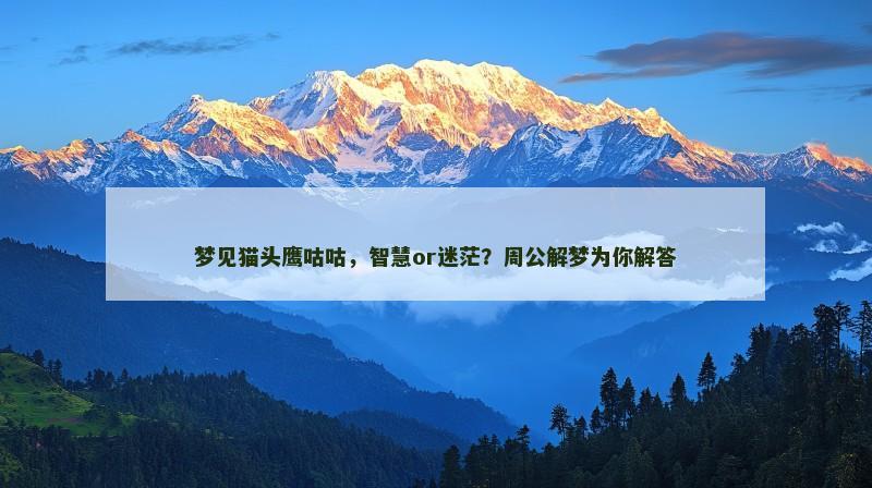 梦见猫头鹰咕咕,智慧or迷茫?周公解梦为你解答
