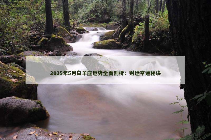 2025年5月白羊座运势全面剖析：财运亨通秘诀