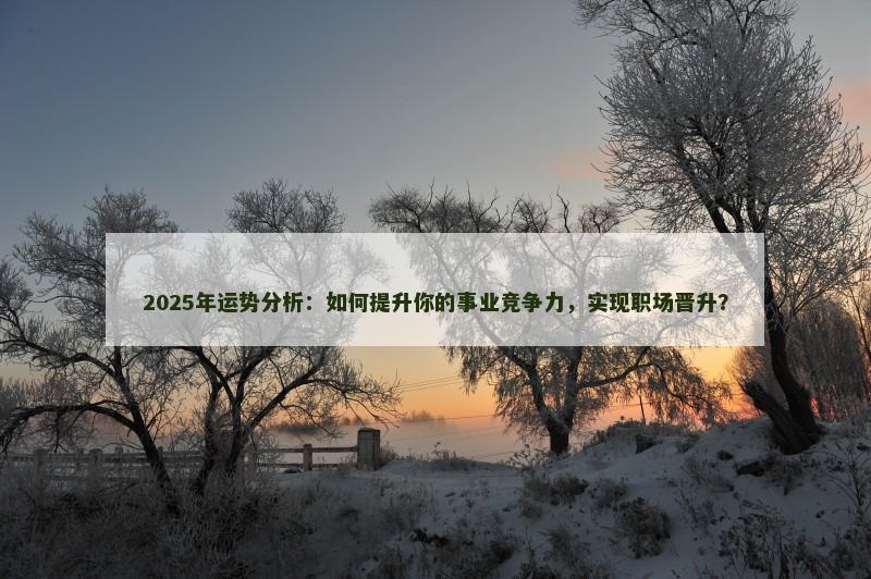 2025年运势分析:如何提升你的事业竞争力,实现职场晋升?