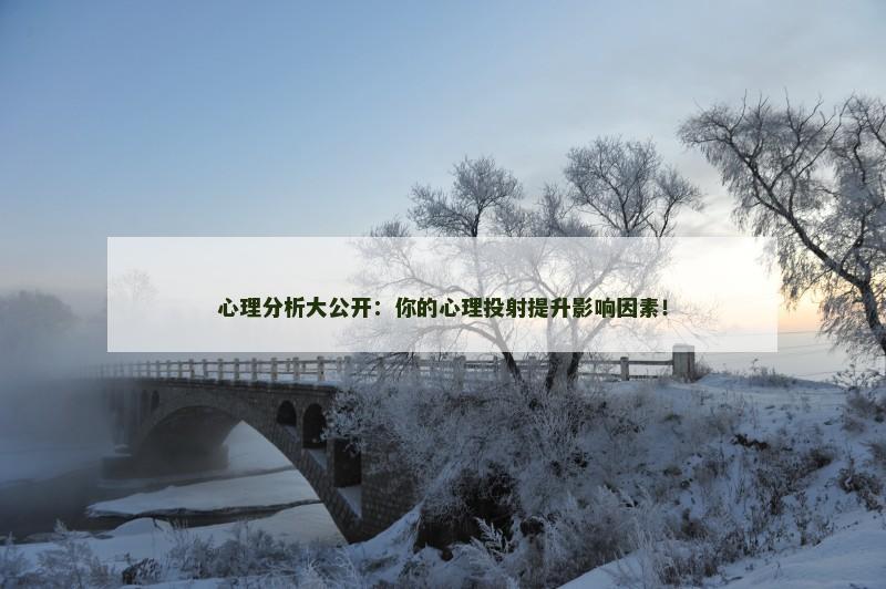 心理分析大公开:你的心理投射提升影响因素!