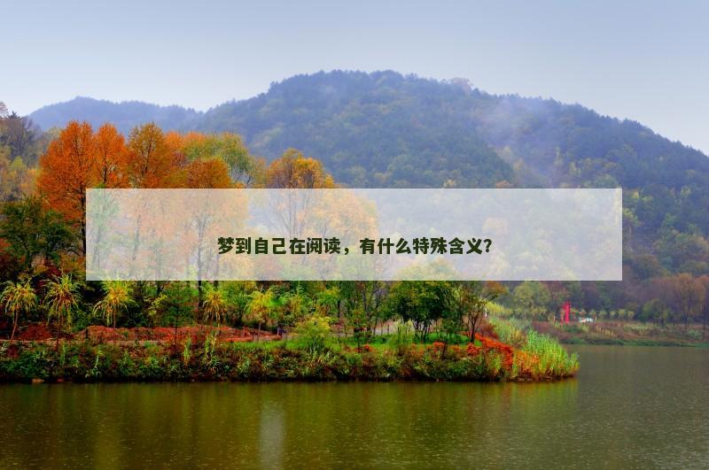 梦到自己在阅读,有什么特殊含义?