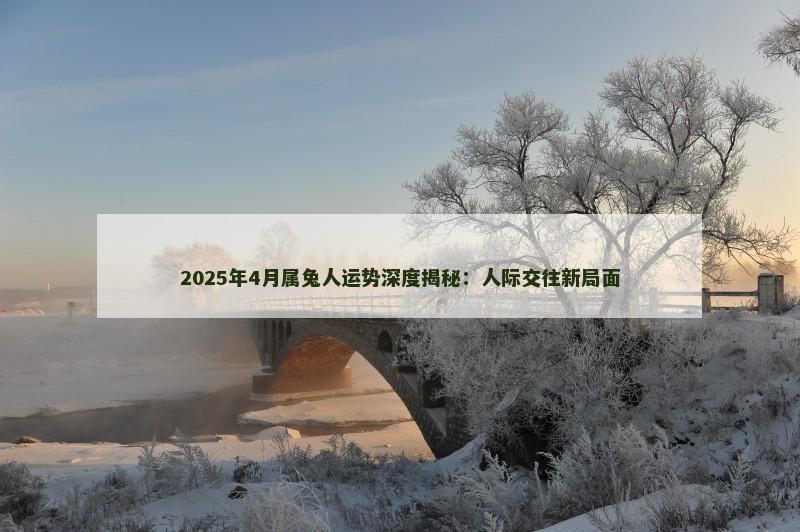 2025年4月属兔人运势深度揭秘:人际交往新局面