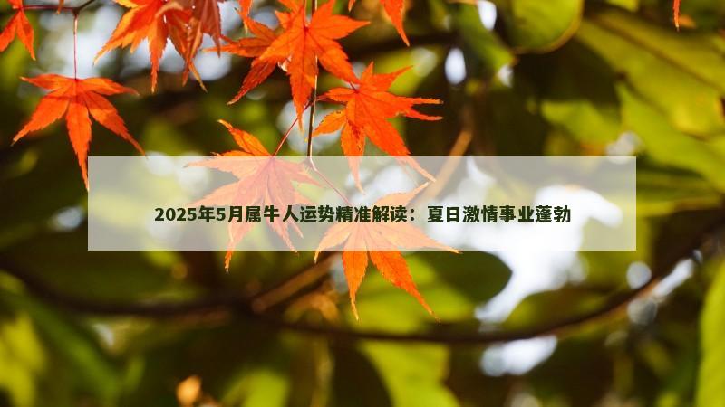 2025年5月属牛人运势精准解读:夏日激情事业蓬勃