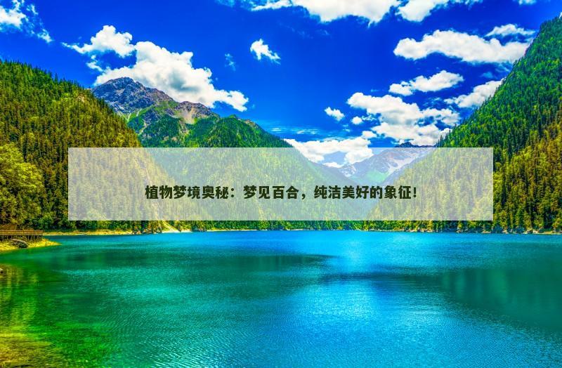 植物梦境奥秘:梦见百合,纯洁美好的象征!