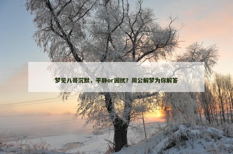 梦见八哥沉默,平静or困扰?周公解梦为你解答
