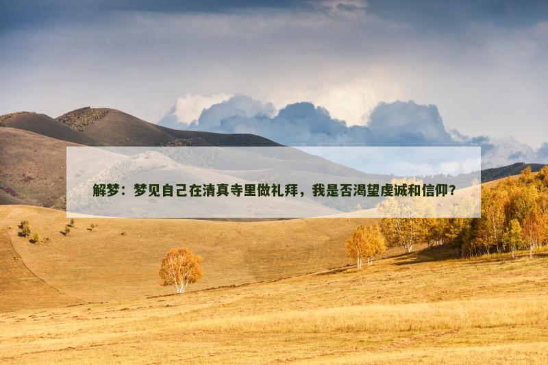 解梦:梦见自己在清真寺里做礼拜,我是否渴望虔诚和信仰?
