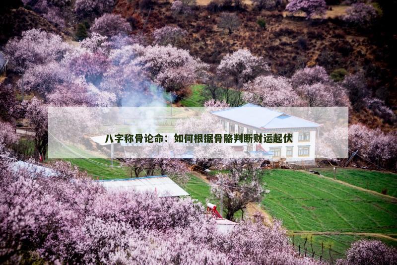 八字命格财富船(八字的财富层次决定人生财富程度)