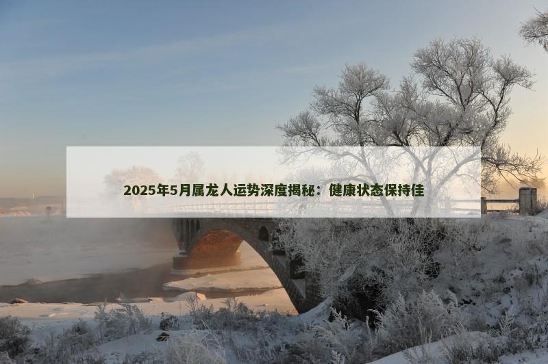 2025年5月属龙人运势深度揭秘:健康状态保持佳