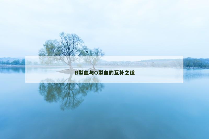 B型血与O型血的互补之道