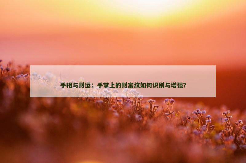手相与财运:手掌上的财富纹如何识别与增强?
