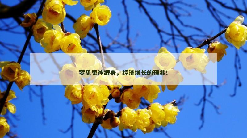 梦见鬼神缠身,经济增长的预兆!