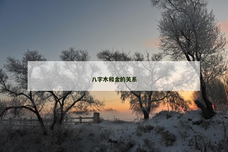 八字木和金的关系