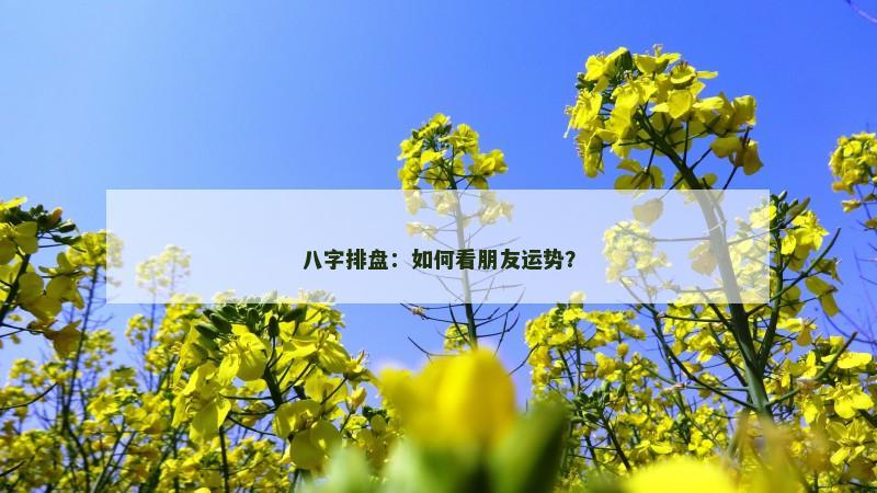 八字排盘：如何看朋友运势？