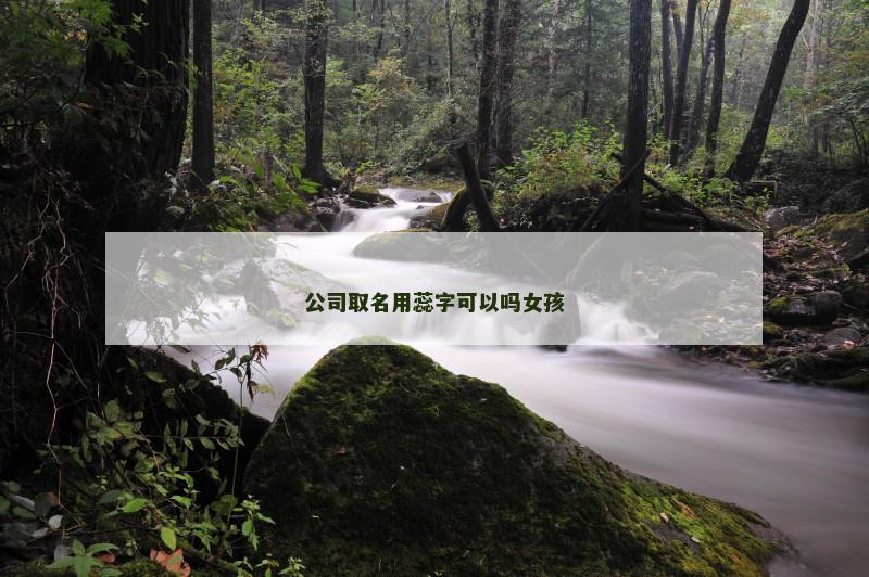 公司取名用蕊字可以吗女孩