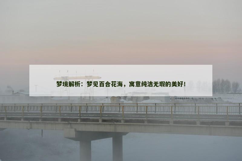梦境解析:梦见百合花海,寓意纯洁无瑕的美好!