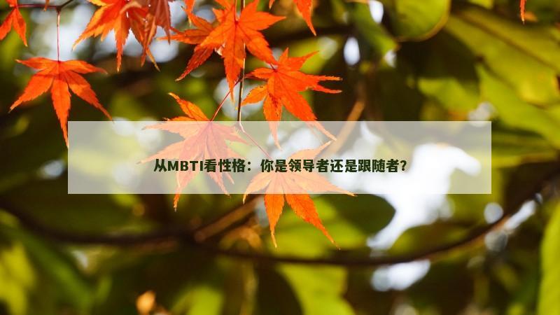 从MBTI看性格:你是领导者还是跟随者?