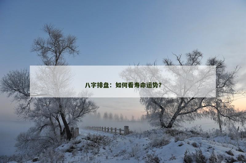 八字排盘：如何看寿命运势？